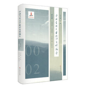 中国当代文学批评史料编年 第九卷 2000-2002 精装 中国当代文学史料丛刊