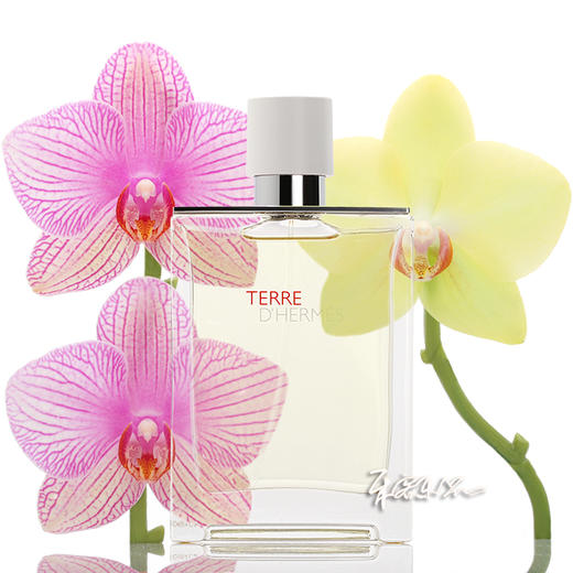 hermes爱马仕雨后大地香水清新版小样正装