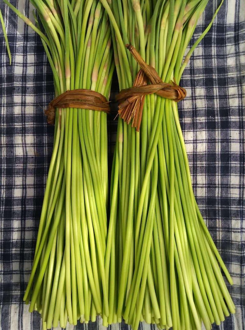 【预售，4.19日起按排单顺序开始发货】山东 蒜苔2斤装左右/4斤装左右