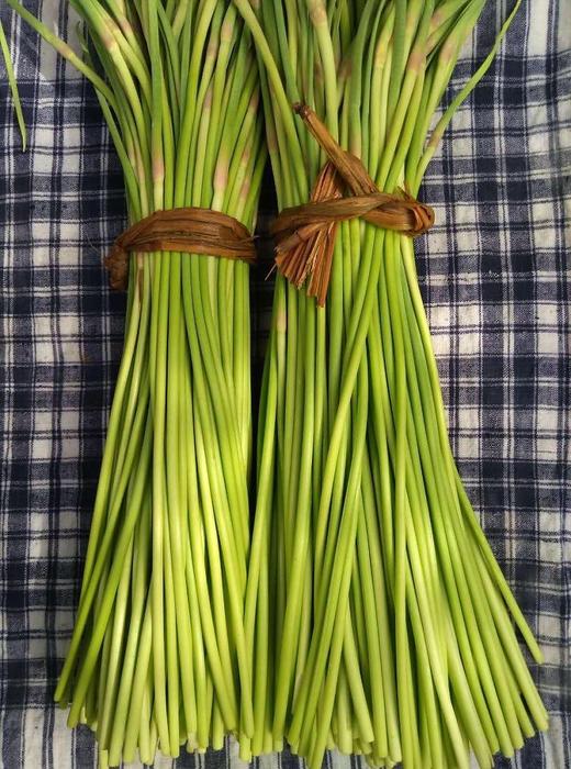 【预售，4.19日起按排单顺序开始发货】山东 蒜苔2斤装左右/4斤装左右 商品图0