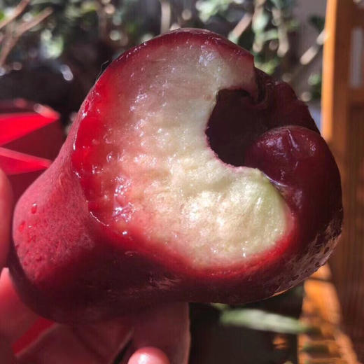 【海南黑金刚莲雾】 商品图1