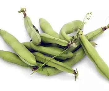 阿林蚕豆1000g/份 商品图0