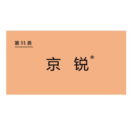 商标-京锐 商品图0