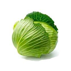 牛心菜 约950克-1100克/份 检测合格，无公害