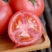 西红柿（约500g） 检测合格，无公害