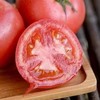 西红柿（约500g） 检测合格，无公害 商品缩略图0