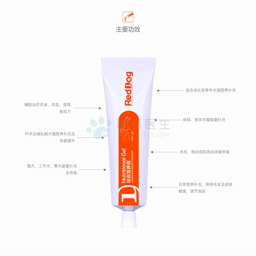 红狗 RedDog 犬猫通用 营养膏 120g 商品图1