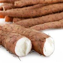 淮山（斤） 检测合格，无公害