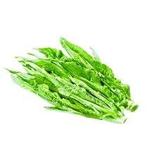 油麦菜(约600g/份) 检测合格，无公害