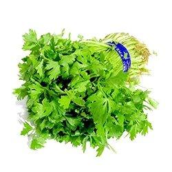 小芹菜0.5斤 检测合格，无公害 商品图0