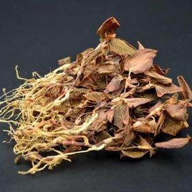 湖洋老家干金线莲（100g/盒）