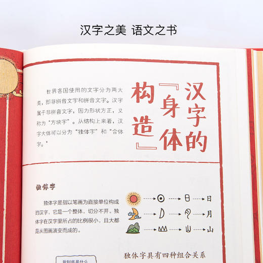 《画给孩子的汉字故事》丨漫画识字，汉字卡片、挂画，丰富的汉字百科 商品图2