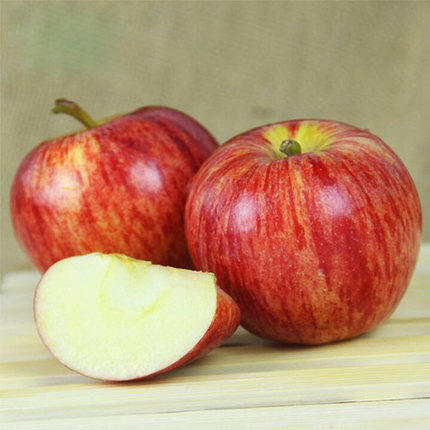 【2颗】新西兰进口加力果2个 脆甜冰糖心 商品图2