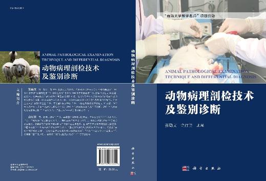 动物病理剖检技术及鉴别诊断  未知 张勤文,俞红贤 商品图3