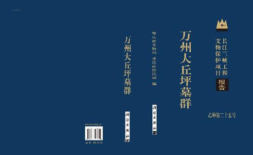 万州大丘坪墓群 商品图3