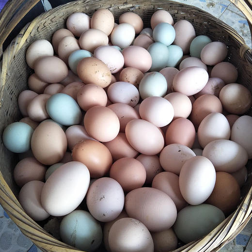 溪园土鸡蛋农家散养鸡蛋