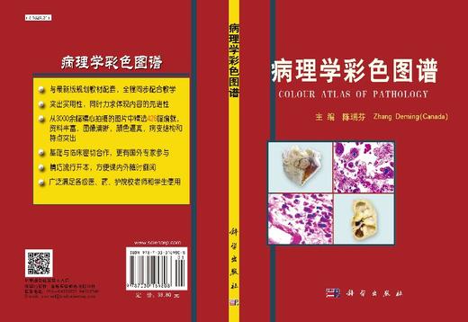 病理学彩色图谱 商品图3