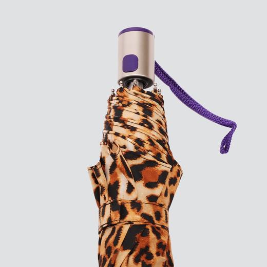 CESARE BRUNI品牌 55cm×8KFRP骨防UV时尚超轻自动开关晴雨伞CSS1332007-03F 商品图5