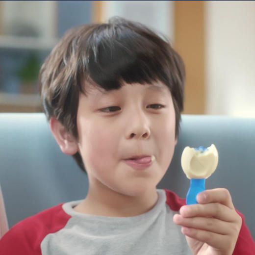 百吉福棒棒奶酪混合水果500g（20g*25支） 商品图6