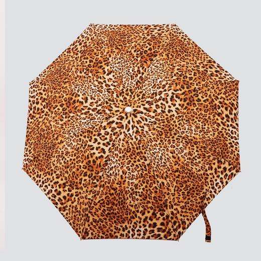 CESARE BRUNI品牌 55cm×8KFRP骨防UV时尚超轻自动开关晴雨伞CSS1332007-03F 商品图0