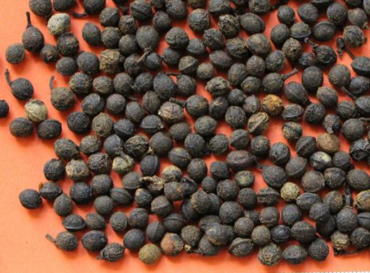 南方特产特产野生干木姜子山胡椒木姜籽火锅调料酸汤鱼调味500