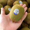 【当季】智利奇异果 进口猕猴桃 水果应季新鲜水果6个12个24个装 商品缩略图6