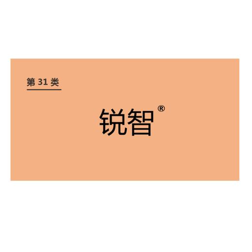 商标-锐智 商品图0