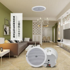 智能家居蓝牙吸顶音箱303BT