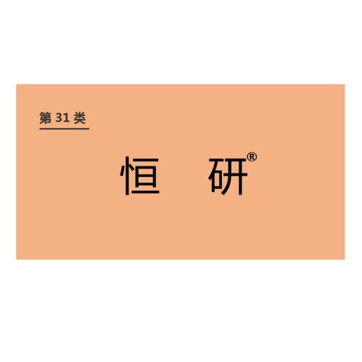 商标-恒研 商品图0