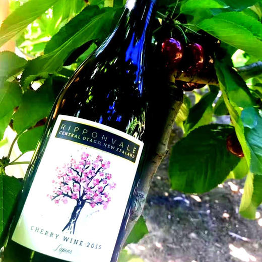 新西兰奥塔哥车厘子红酒天赐礼物很少的都是庄园主自己酿的750ml酒精