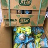 泰国进口烧烤椰子4个装新鲜水果泰国椰青椰皇树上矿包邮 商品缩略图3