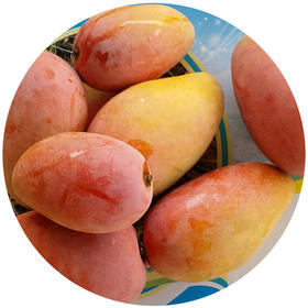 贵妃芒果 小果 净重8斤  个虽小，一样甜！与家人共享，实惠！