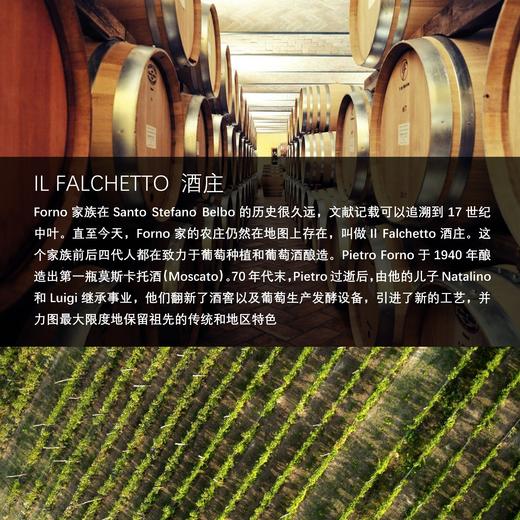 六支法尔凯特阿尔巴多姿桃干红葡萄酒SOULI BROIDA DOLCETTO D'ALBA DOC 商品图3