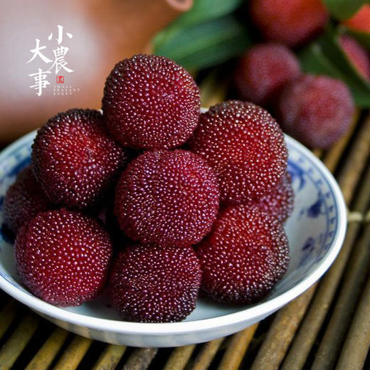 专利包装正宗福建浮宫硬丝杨梅2500g顺丰包邮