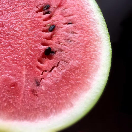 〔上海直发包邮06〕西瓜 商品图0