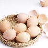 散养天然鸡蛋10枚 商品缩略图4