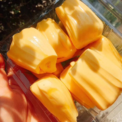 【现剥波乐菠萝蜜】 商品图0