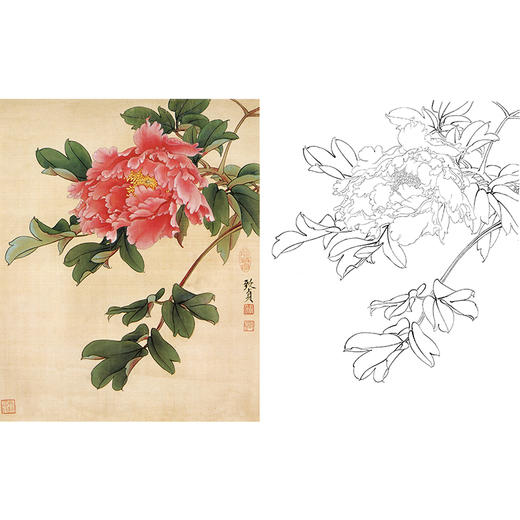 俞致贞工笔花鸟白描底稿牡丹墨撒金斗方小品册页jv21
