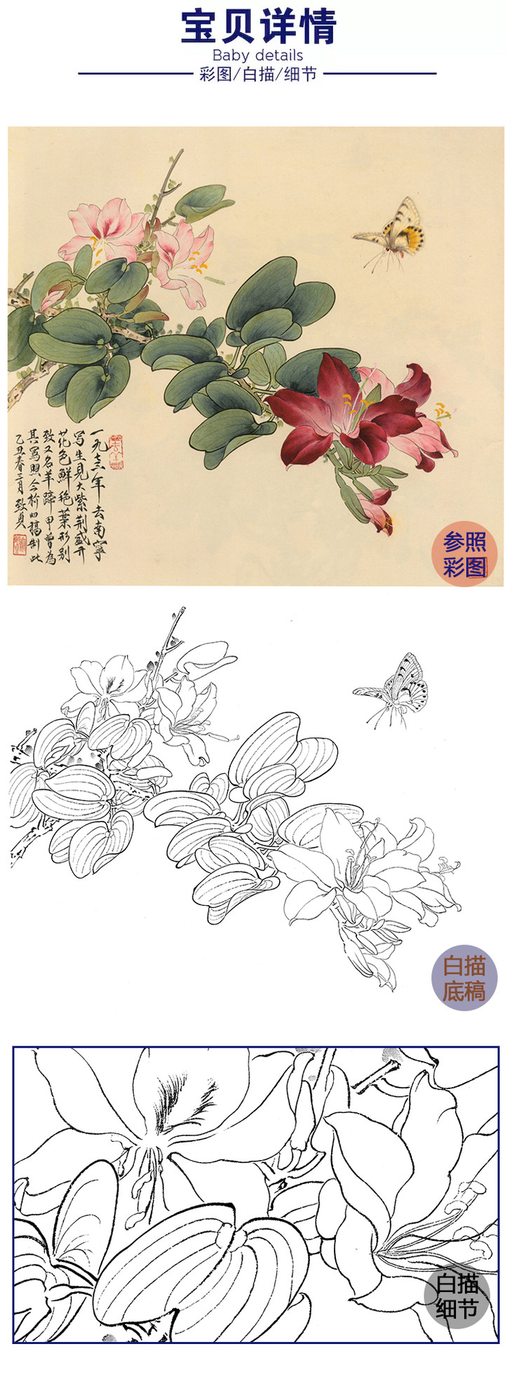 俞致贞工笔花鸟白描底稿紫荆花大紫荆蝴蝶斗方小品册页jv17