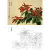俞致贞工笔花鸟白描底稿-《一品红》-斗方小品册页-JV27 商品缩略图0