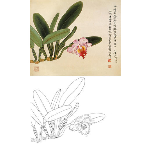 俞致貞工筆花鳥白描底稿蘭花卡特蘭斗方小品冊頁jv13