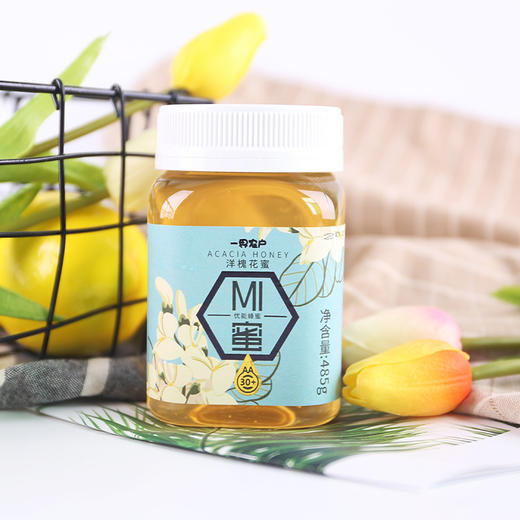 【零添加，非浓缩】洋槐花优能蜂蜜485g/瓶 蜂农自产 全国包邮 商品图3