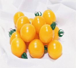 阿林有机黄樱桃小番茄 商品图0