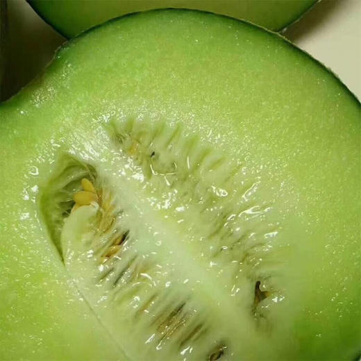 海南玫珑瓜蜜瓜网纹瓜哈密瓜甜瓜可口蜜瓜口口蜜瓜1个约35斤以上