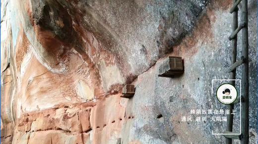 【习水】豆妈家岩蜂蜜 商品图2