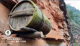 【习水】豆妈家岩蜂蜜