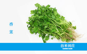 香菜