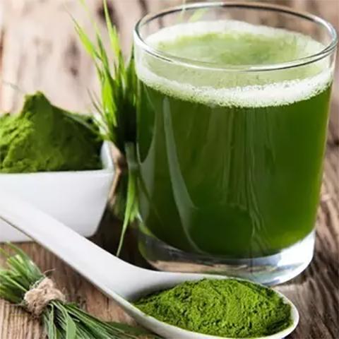 【香港直邮】日本ZOVLA鹿儿岛大麦若叶青汁90g/盒 推荐！ 商品图1