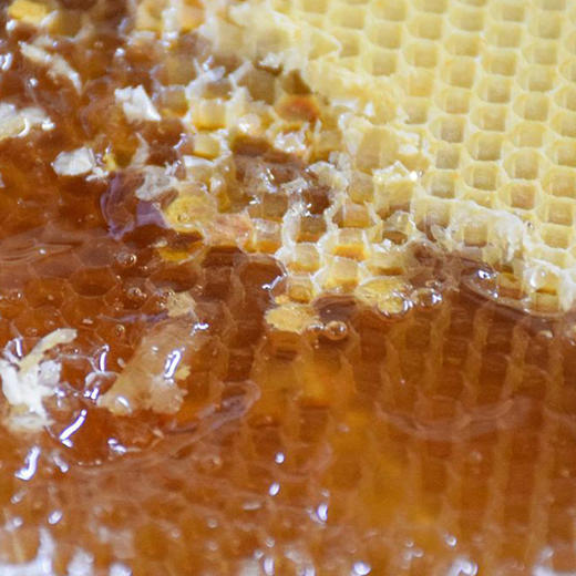 包邮 尹家泊里蓝莓花原蜜蜂蜜500g  酿蜜期长 自然成熟 商品图7