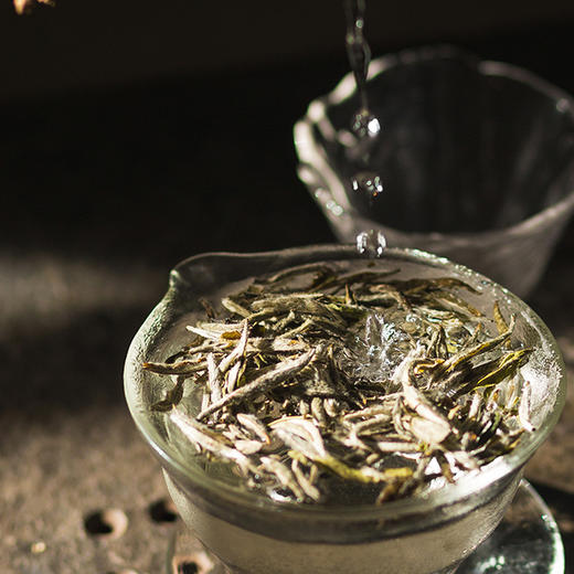 问山空中课堂·白毫银针专题课堂 商品图0